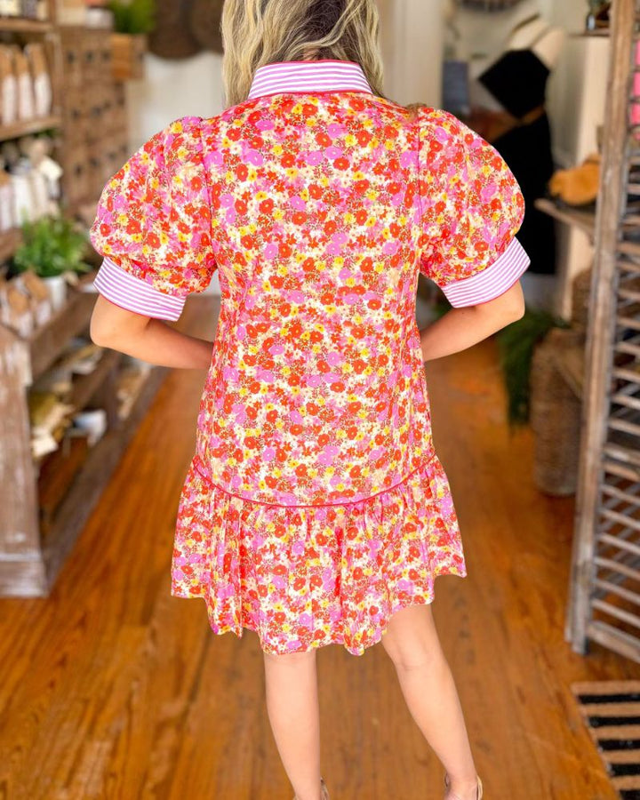 Chic Floral Striped Mixed Print Mini Dress